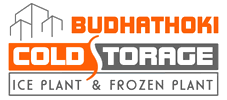 Company Name